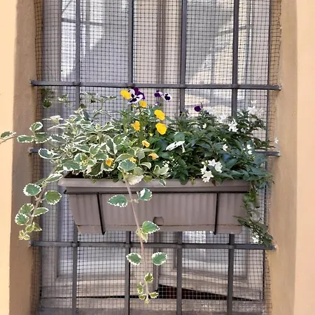דירה Portelle Da Barbara - Private Parking & Bike Storage *
